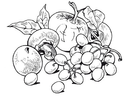 Иллюстрация к книге — Летние супы, окрошки, свекольники и другие. Готовим, как профессионалы! [i_027.jpg]