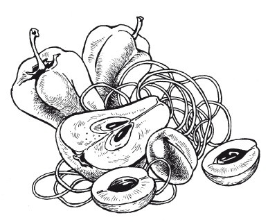 Иллюстрация к книге — Летние супы, окрошки, свекольники и другие. Готовим, как профессионалы! [i_029.jpg]