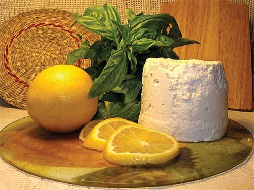 Иллюстрация к книге — Блюда из сыра [i_009.jpg]