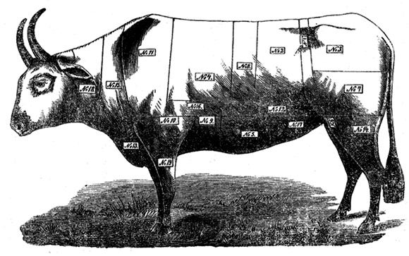 Иллюстрация к книге — Поваренная книга русской опытной хозяйки. Супы и похлебки [i_004.jpg]