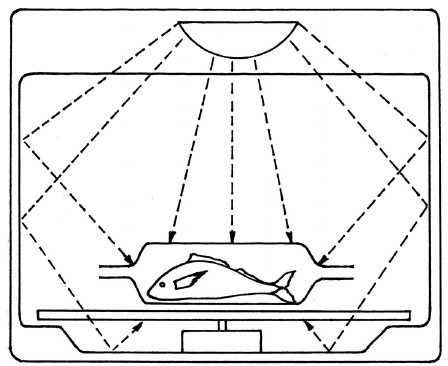 Иллюстрация к книге — Готовим в микроволновой печи [i_008.jpg]