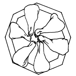Иллюстрация к книге — Готовим в микроволновой печи [i_009.jpg]
