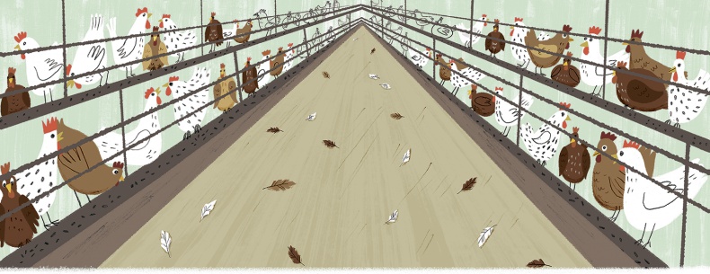 Иллюстрация к книге — Невероятные истории про любимых питомцев [i_035.jpg]