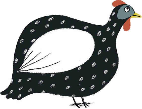 Иллюстрация к книге — Невероятные истории про любимых питомцев [i_041.jpg]