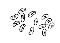 Иллюстрация к книге — Мультиварка. Блиц-рецепты! Самые вкусные! Cамые быстрые! [i_147.jpg]