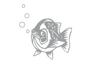 Иллюстрация к книге — Мультиварка. 300 рецептов для всей семьи [i_033.jpg]