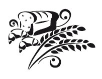 Иллюстрация к книге — Мультиварка. 300 рецептов для всей семьи [i_076.jpg]