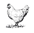 Иллюстрация к книге — Мультиварка. 300 рецептов для всей семьи [i_115.jpg]