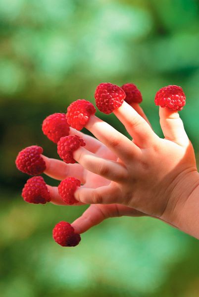 Иллюстрация к книге — Теперь я ем все, что хочу! Система питания Давида Яна [_01.jpg]