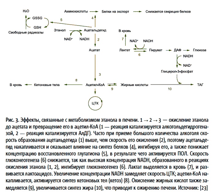 Иллюстрация к книге — Теперь я ем все, что хочу! Система питания Давида Яна [_25.jpg]