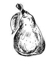 Иллюстрация к книге — 365 рецептов на каждый день [i_003.jpg]