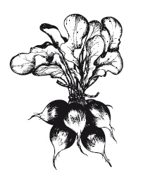 Иллюстрация к книге — 365 рецептов на каждый день [i_007.jpg]