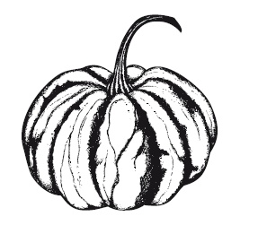 Иллюстрация к книге — 365 рецептов на каждый день [i_008.jpg]