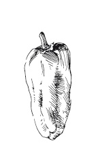 Иллюстрация к книге — 365 рецептов на каждый день [i_017.jpg]