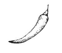 Иллюстрация к книге — 365 рецептов на каждый день [i_018.jpg]