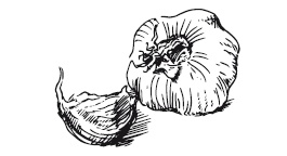 Иллюстрация к книге — 365 рецептов на каждый день [i_023.jpg]