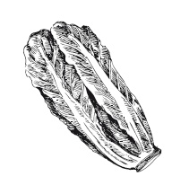 Иллюстрация к книге — 365 рецептов на каждый день [i_028.jpg]