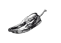 Иллюстрация к книге — 365 рецептов на каждый день [i_029.jpg]