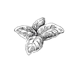 Иллюстрация к книге — 365 рецептов на каждый день [i_033.jpg]