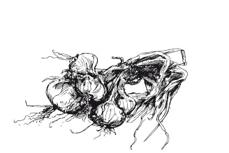 Иллюстрация к книге — 365 рецептов на каждый день [i_035.jpg]