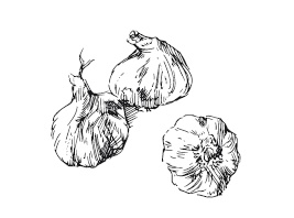 Иллюстрация к книге — 365 рецептов на каждый день [i_040.jpg]