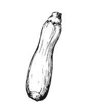 Иллюстрация к книге — 365 рецептов на каждый день [i_041.jpg]