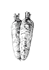 Иллюстрация к книге — 365 рецептов на каждый день [i_044.jpg]