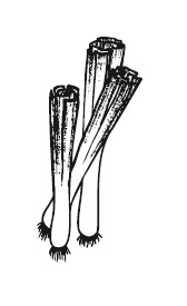 Иллюстрация к книге — 365 рецептов на каждый день [i_046.jpg]