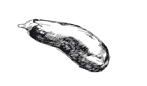 Иллюстрация к книге — 365 рецептов на каждый день [i_049.jpg]