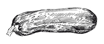 Иллюстрация к книге — 365 рецептов на каждый день [i_050.jpg]