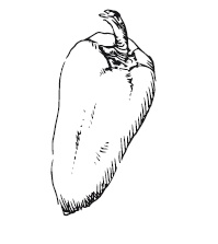 Иллюстрация к книге — 365 рецептов на каждый день [i_055.jpg]