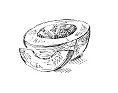 Иллюстрация к книге — 365 рецептов на каждый день [i_057.jpg]