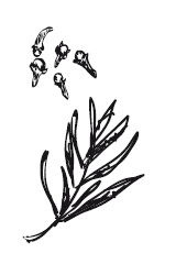 Иллюстрация к книге — 365 рецептов на каждый день [i_063.jpg]