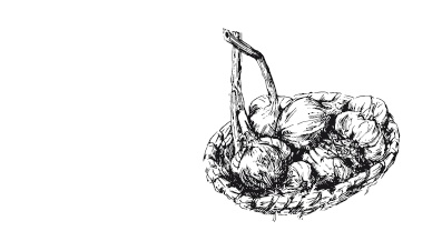 Иллюстрация к книге — 365 рецептов на каждый день [i_066.jpg]