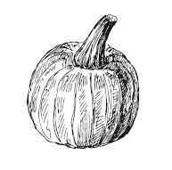 Иллюстрация к книге — 365 рецептов на каждый день [i_072.jpg]