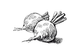 Иллюстрация к книге — 365 рецептов на каждый день [i_073.jpg]