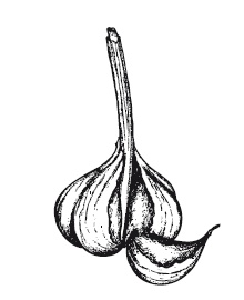 Иллюстрация к книге — 365 рецептов на каждый день [i_080.jpg]