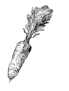 Иллюстрация к книге — 365 рецептов на каждый день [i_081.jpg]