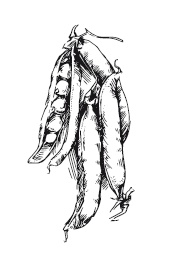 Иллюстрация к книге — 365 рецептов на каждый день [i_087.jpg]