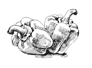 Иллюстрация к книге — 365 рецептов на каждый день [i_089.jpg]