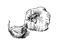 Иллюстрация к книге — 365 рецептов на каждый день [i_090.jpg]