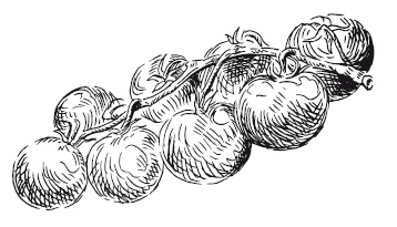 Иллюстрация к книге — 365 рецептов на каждый день [i_096.jpg]