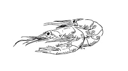 Иллюстрация к книге — 365 рецептов на каждый день [i_101.jpg]