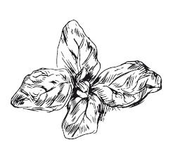 Иллюстрация к книге — 365 рецептов на каждый день [i_102.jpg]