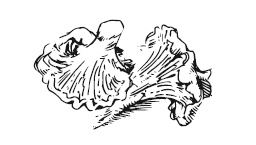 Иллюстрация к книге — 365 рецептов на каждый день [i_103.jpg]