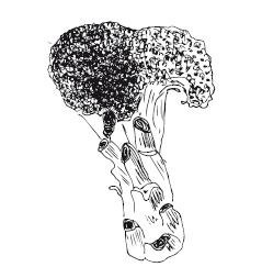 Иллюстрация к книге — 365 рецептов на каждый день [i_106.jpg]