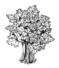 Иллюстрация к книге — 365 рецептов на каждый день [i_111.jpg]