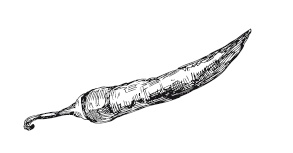 Иллюстрация к книге — 365 рецептов на каждый день [i_112.jpg]