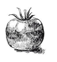 Иллюстрация к книге — 365 рецептов на каждый день [i_114.jpg]