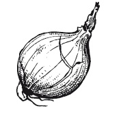 Иллюстрация к книге — 365 рецептов на каждый день [i_118.jpg]